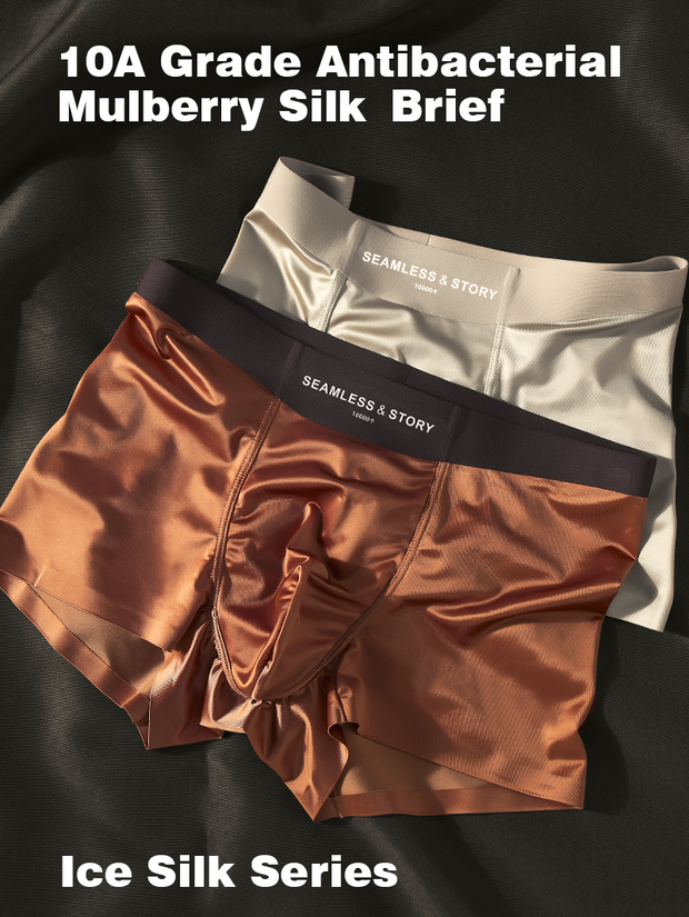 Mulberry Silk Antimicrobial Men's Boxer Briefs