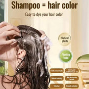 Japanese Advanced Color Lock Shampoo