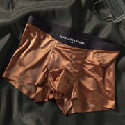 Mulberry Silk Antimicrobial Men's Boxer Briefs