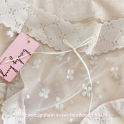 Pure Organic Cotton Panty - Packs of 6