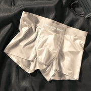 Mulberry Silk Antimicrobial Men's Boxer Briefs